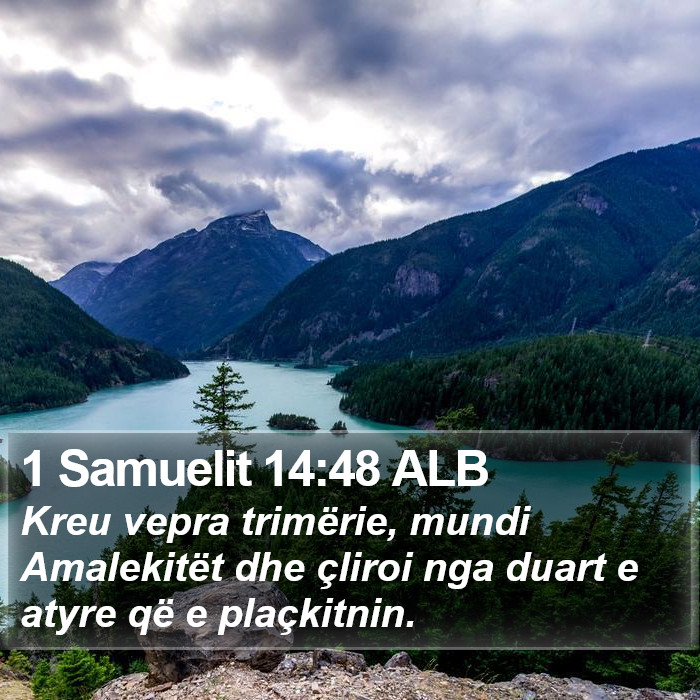 1 Samuelit 14:48 ALB Bible Study