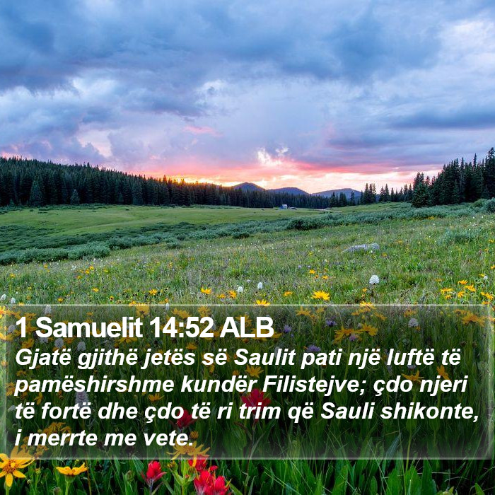 1 Samuelit 14:52 ALB Bible Study