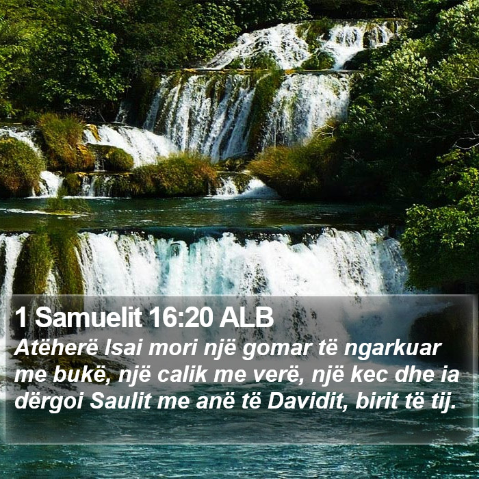 1 Samuelit 16:20 ALB Bible Study
