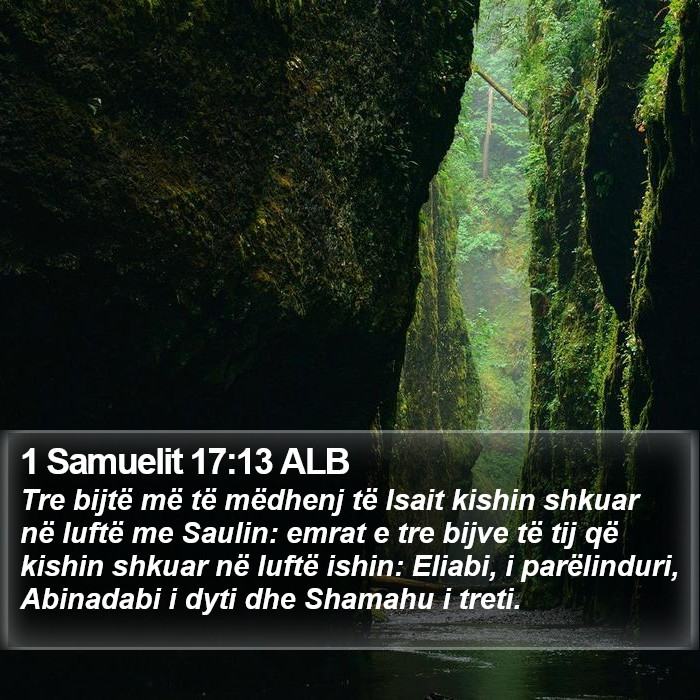 1 Samuelit 17:13 ALB Bible Study