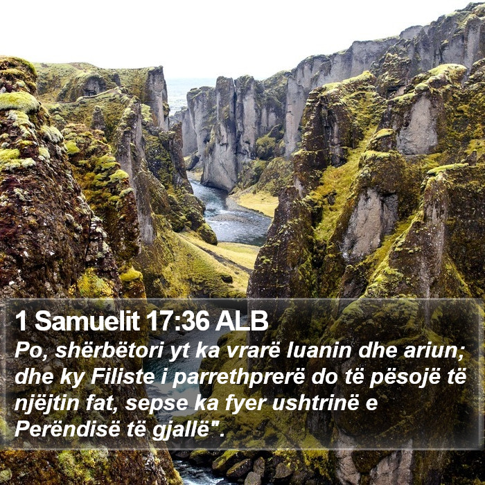 1 Samuelit 17:36 ALB Bible Study