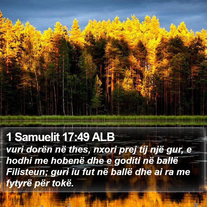 1 Samuelit 17:49 ALB Bible Study