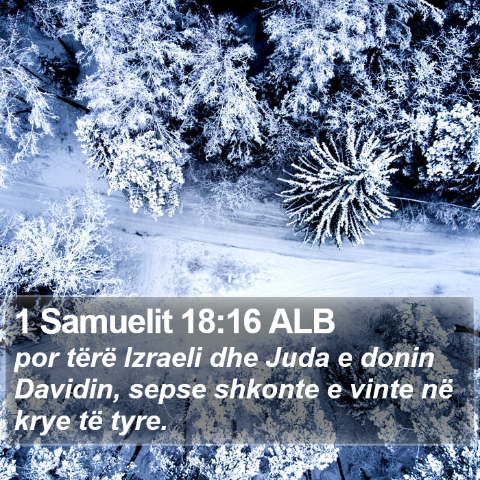 1 Samuelit 18:16 ALB Bible Study