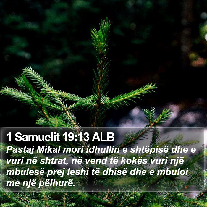 1 Samuelit 19:13 ALB Bible Study