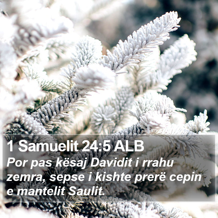 1 Samuelit 24:5 ALB Bible Study