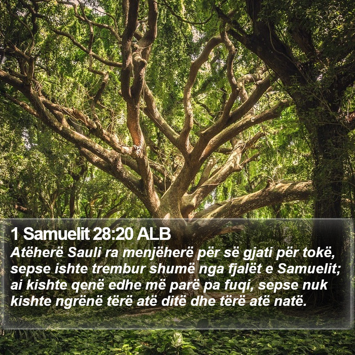 1 Samuelit 28:20 ALB Bible Study