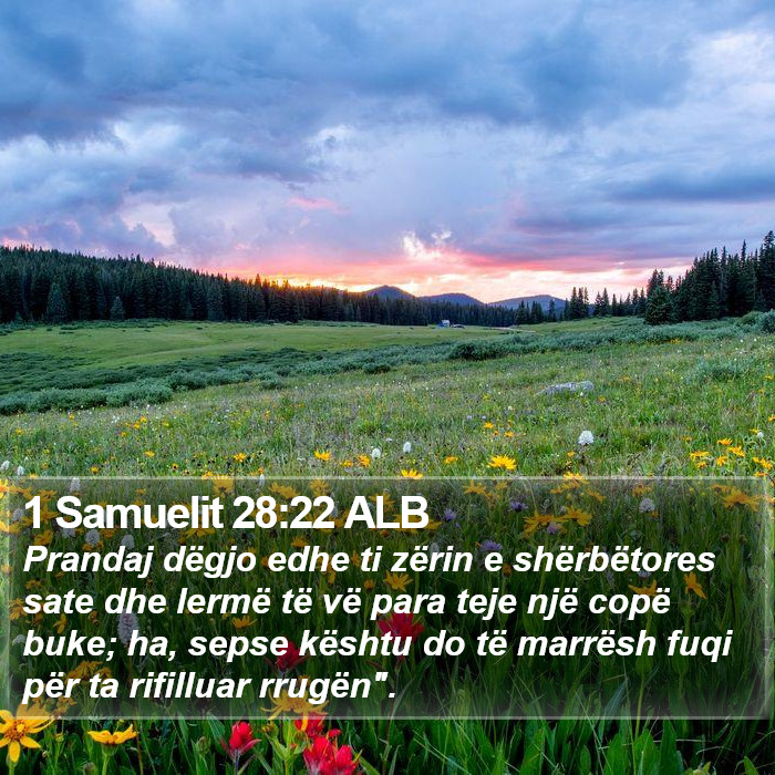 1 Samuelit 28:22 ALB Bible Study