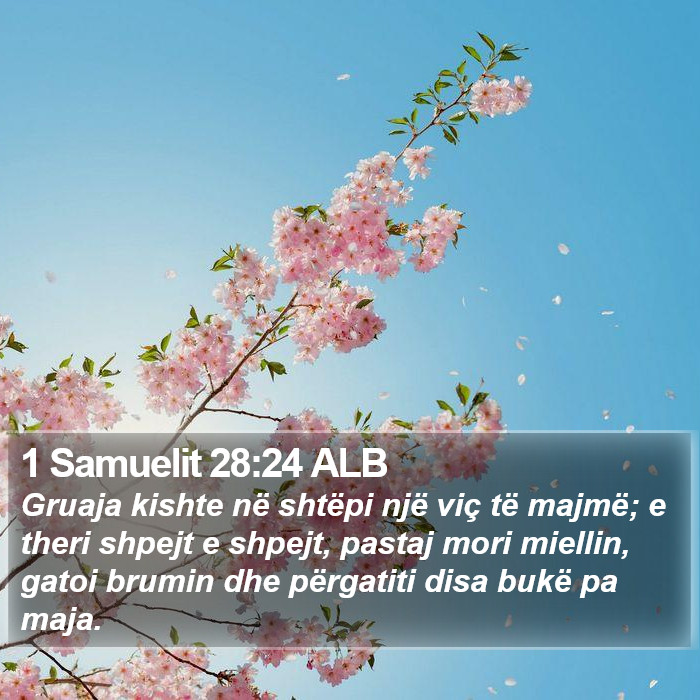 1 Samuelit 28:24 ALB Bible Study