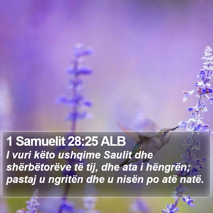 1 Samuelit 28:25 ALB Bible Study
