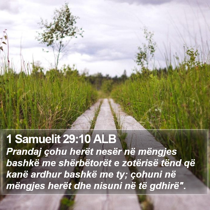 1 Samuelit 29:10 ALB Bible Study