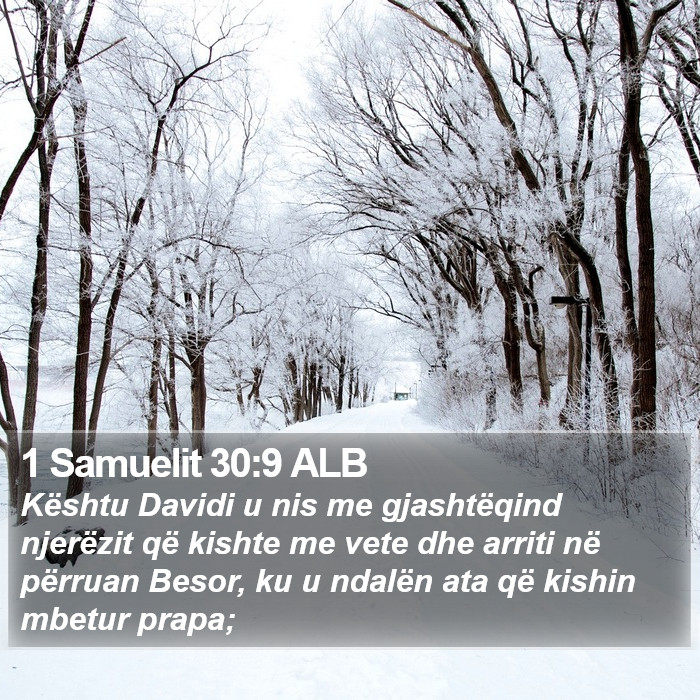 1 Samuelit 30:9 ALB Bible Study