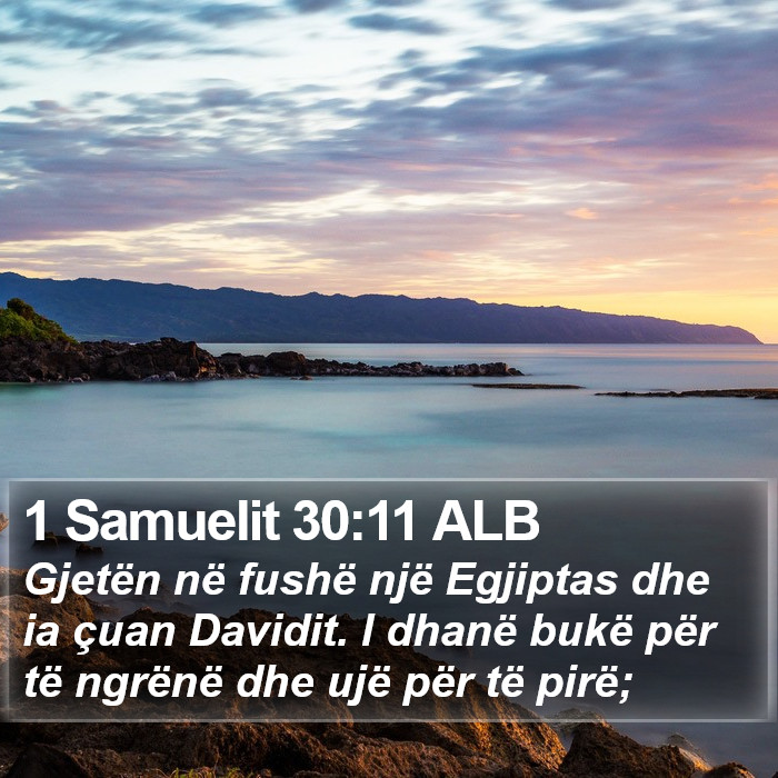 1 Samuelit 30:11 ALB Bible Study