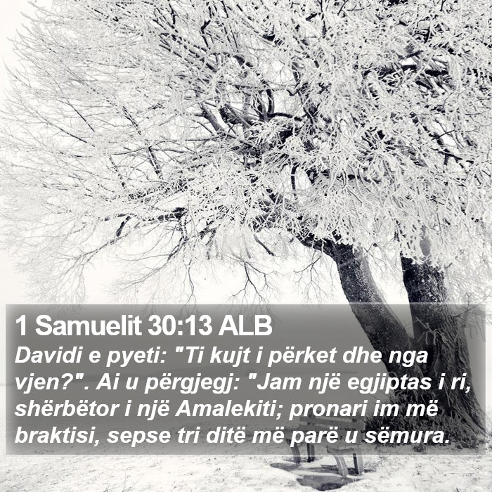 1 Samuelit 30:13 ALB Bible Study