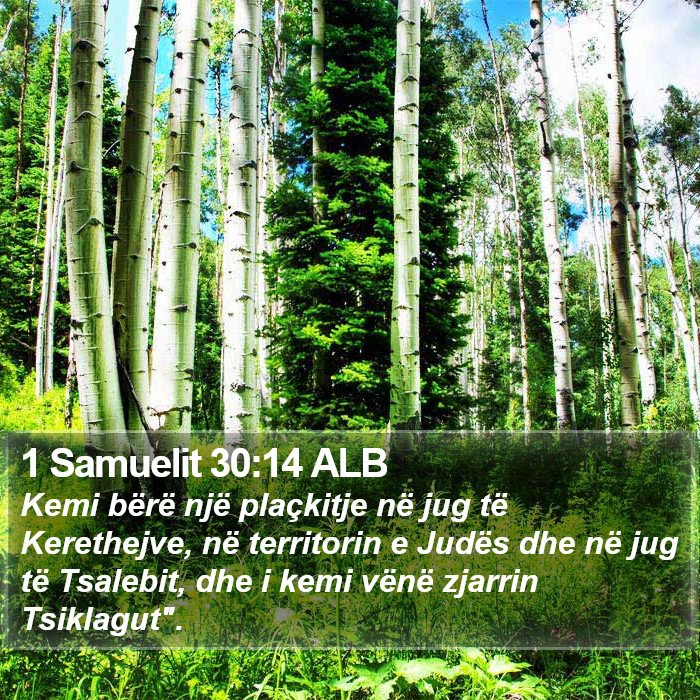 1 Samuelit 30:14 ALB Bible Study