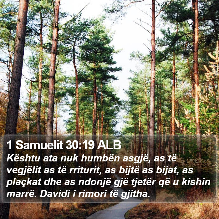 1 Samuelit 30:19 ALB Bible Study