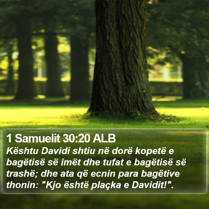 1 Samuelit 30:20 ALB Bible Study