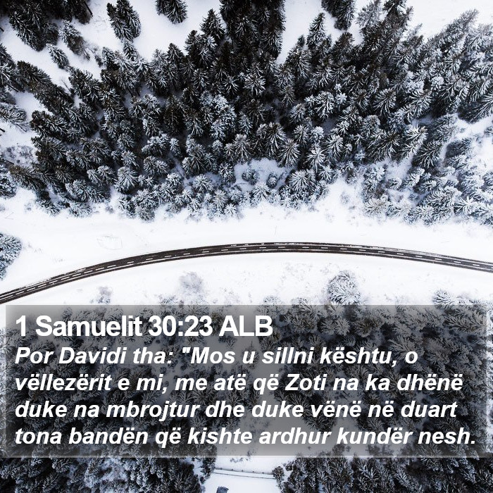 1 Samuelit 30:23 ALB Bible Study