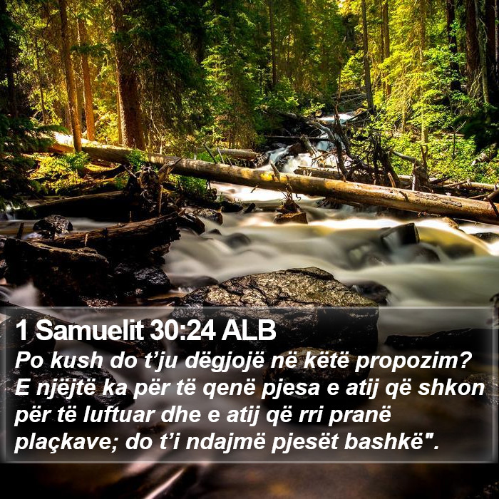 1 Samuelit 30:24 ALB Bible Study