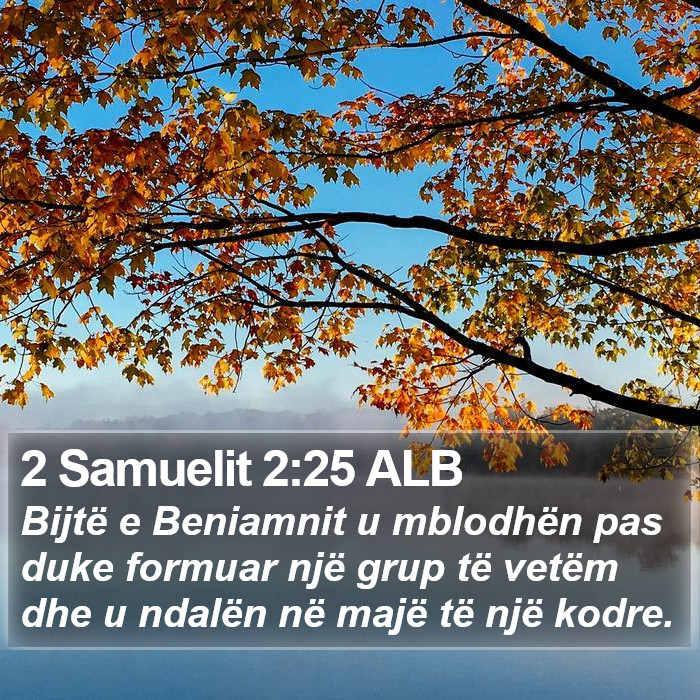 2 Samuelit 2:25 ALB Bible Study