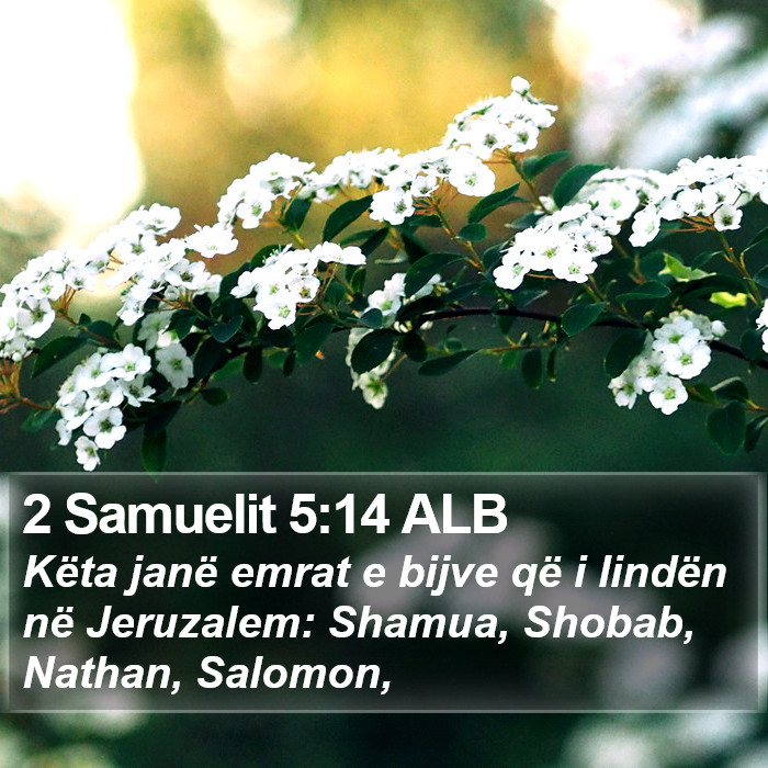 2 Samuelit 5:14 ALB Bible Study