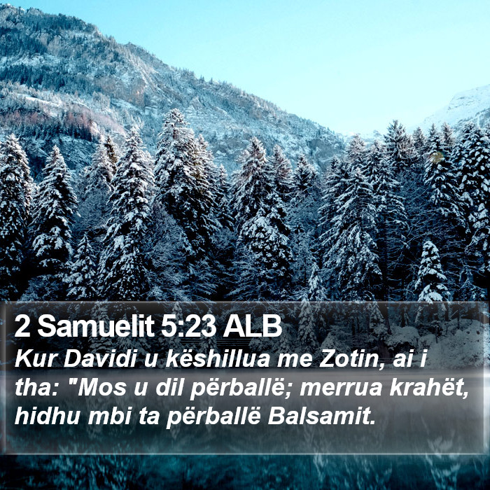 2 Samuelit 5:23 ALB Bible Study