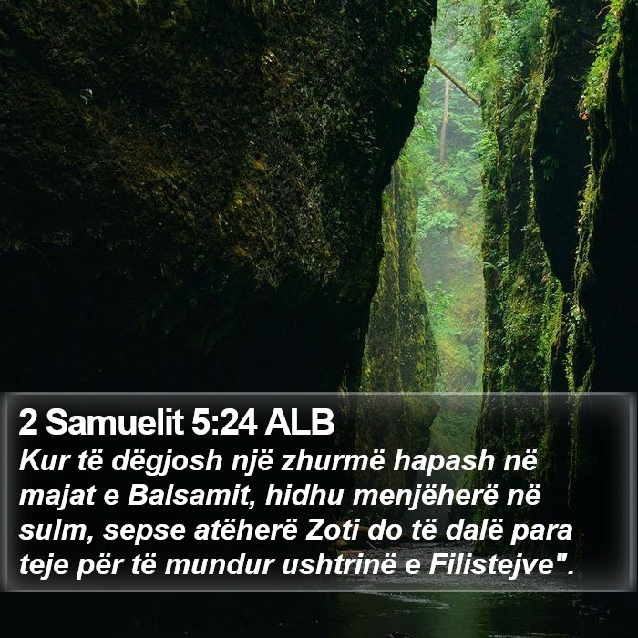 2 Samuelit 5:24 ALB Bible Study