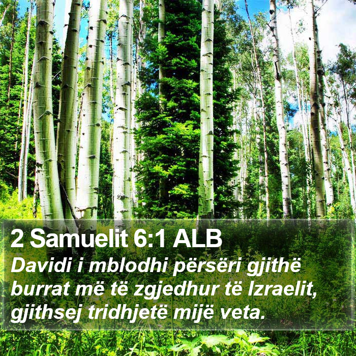 2 Samuelit 6:1 ALB Bible Study