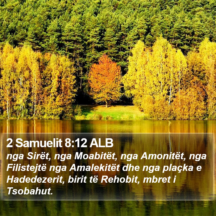 2 Samuelit 8:12 ALB Bible Study