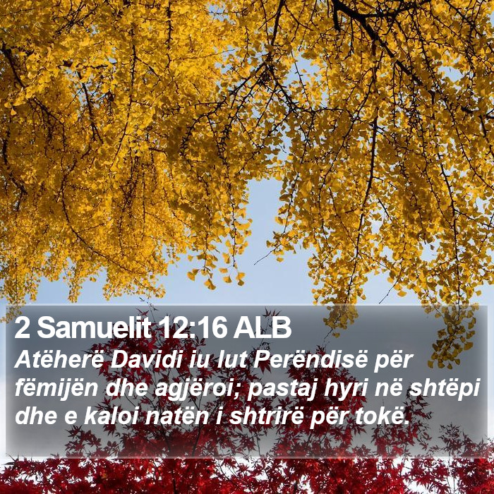 2 Samuelit 12:16 ALB Bible Study