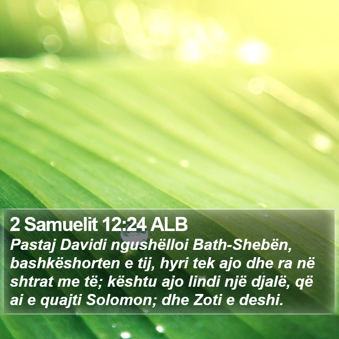 2 Samuelit 12:24 ALB Bible Study