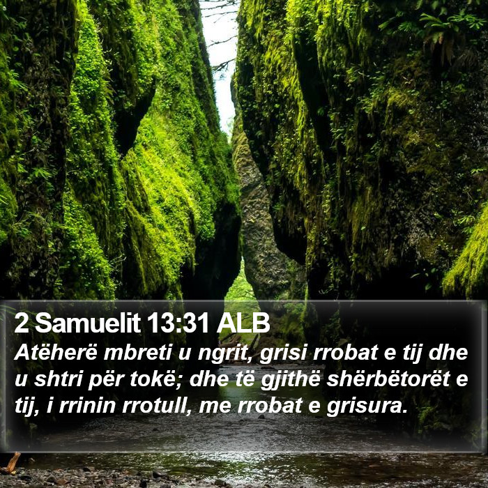 2 Samuelit 13:31 ALB Bible Study