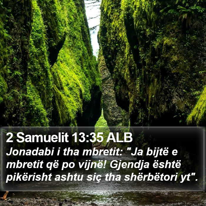 2 Samuelit 13:35 ALB Bible Study