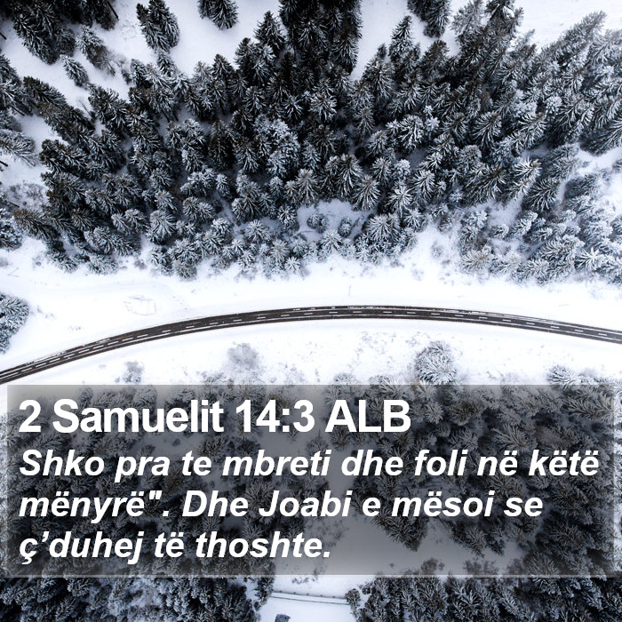 2 Samuelit 14:3 ALB Bible Study