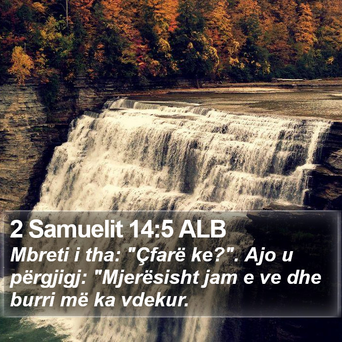 2 Samuelit 14:5 ALB Bible Study