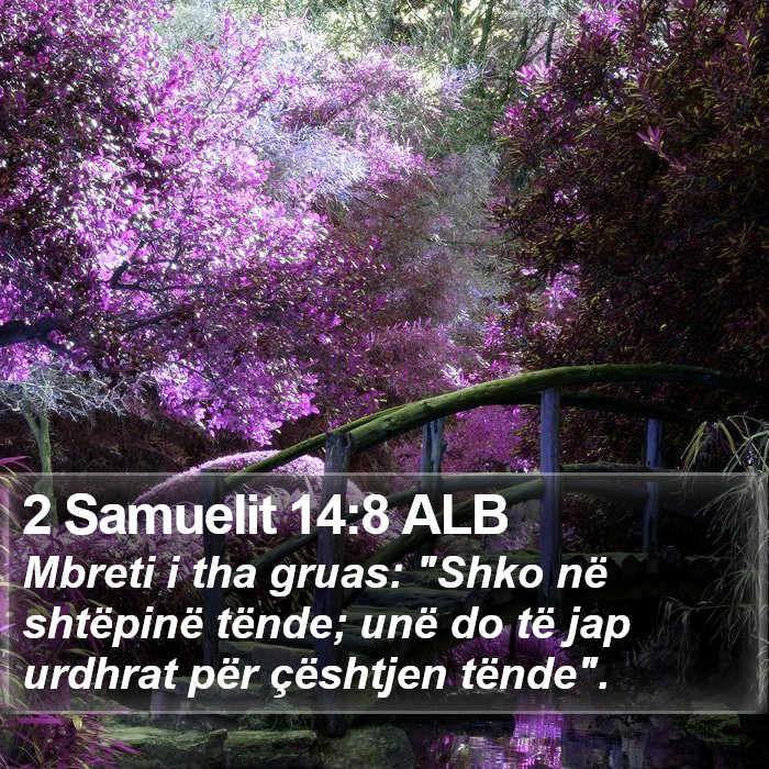 2 Samuelit 14:8 ALB Bible Study