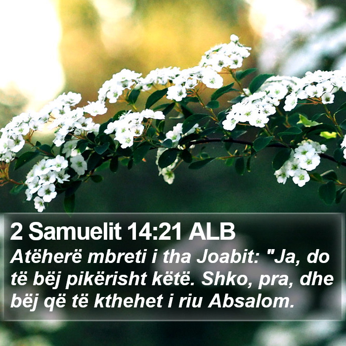 2 Samuelit 14:21 ALB Bible Study