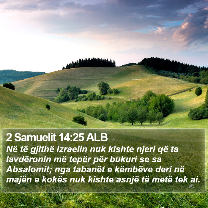 2 Samuelit 14:25 ALB Bible Study
