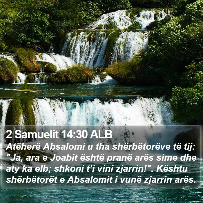 2 Samuelit 14:30 ALB Bible Study
