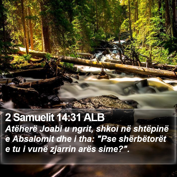 2 Samuelit 14:31 ALB Bible Study