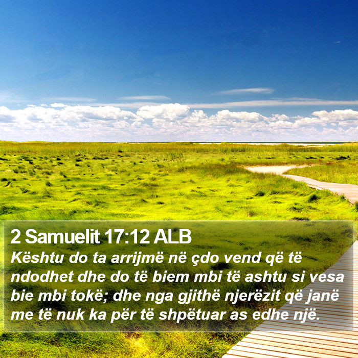 2 Samuelit 17:12 ALB Bible Study