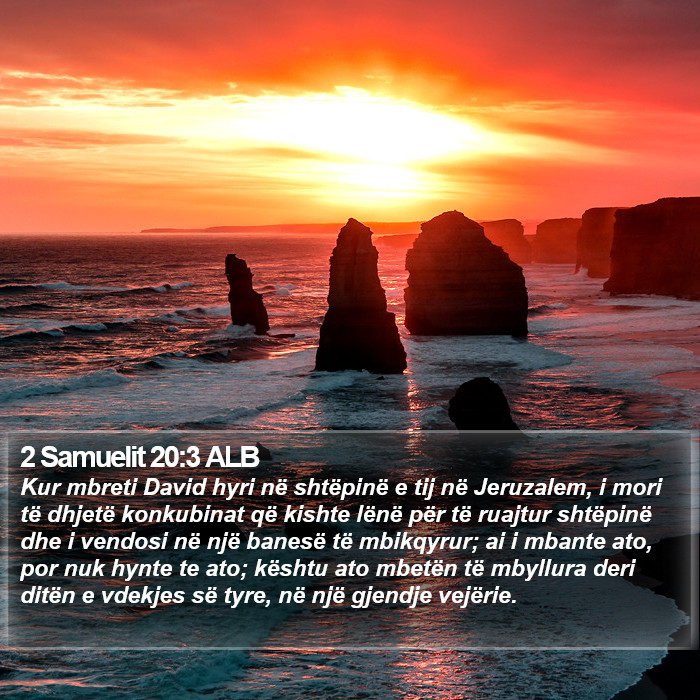 2 Samuelit 20:3 ALB Bible Study