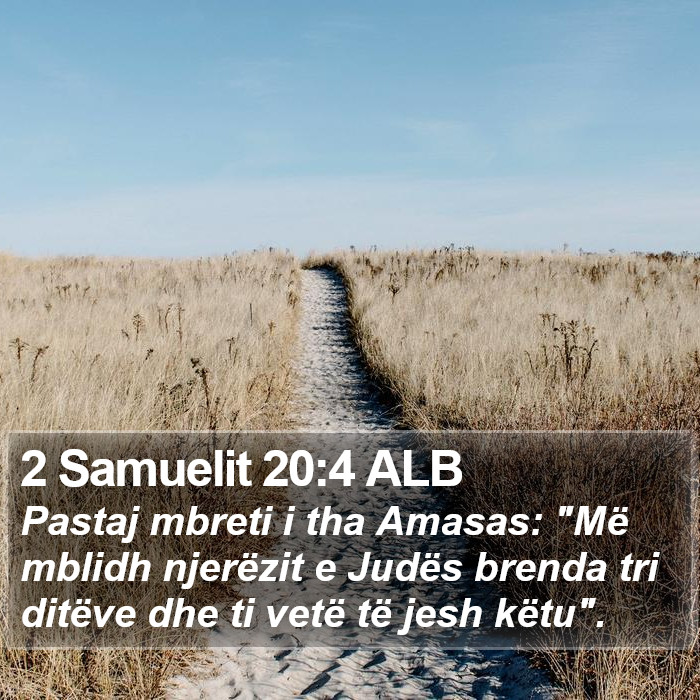 2 Samuelit 20:4 ALB Bible Study