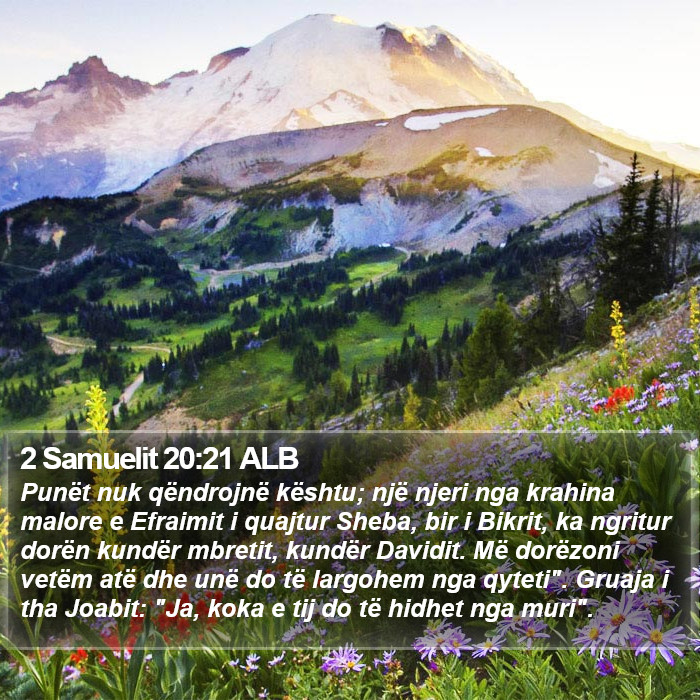 2 Samuelit 20:21 ALB Bible Study