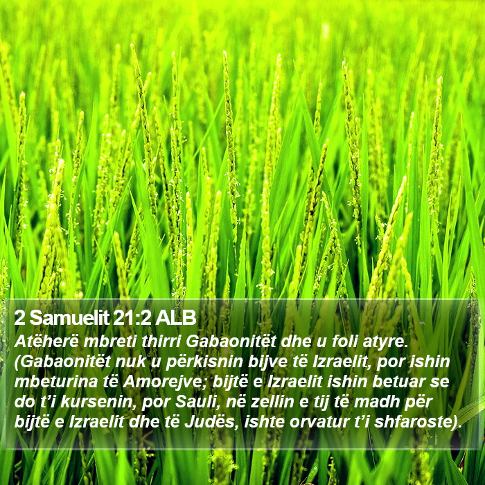 2 Samuelit 21:2 ALB Bible Study