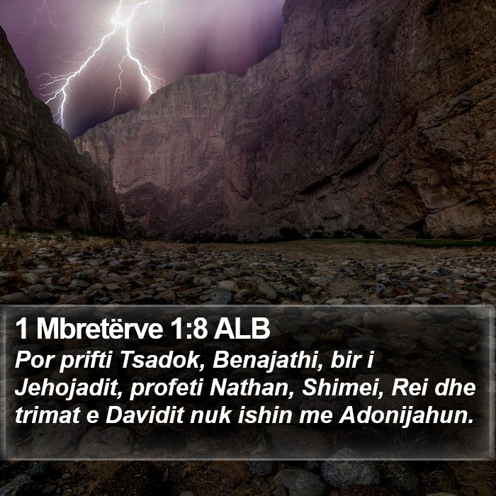 1 Mbretërve 1:8 ALB Bible Study