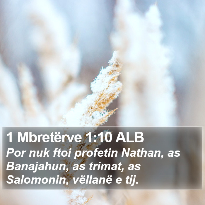 1 Mbretërve 1:10 ALB Bible Study