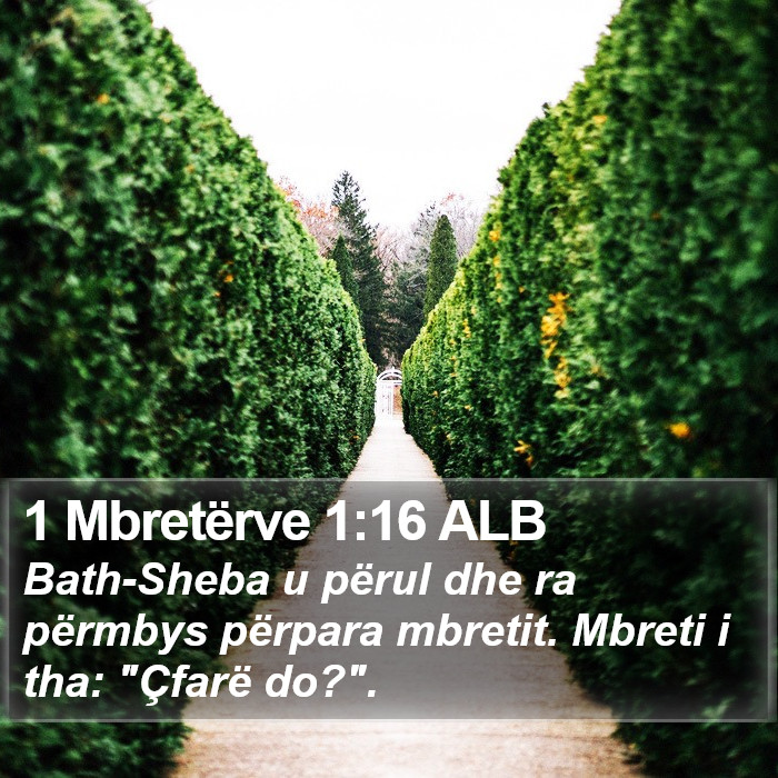 1 Mbretërve 1:16 ALB Bible Study