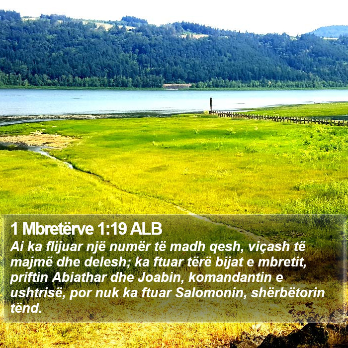 1 Mbretërve 1:19 ALB Bible Study