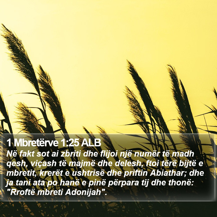 1 Mbretërve 1:25 ALB Bible Study