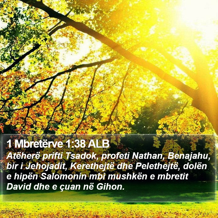 1 Mbretërve 1:38 ALB Bible Study